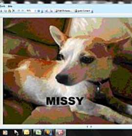 Photo of Missy