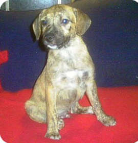 Photo of Leroy Brown $250 26wks