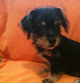 Photo of Jack