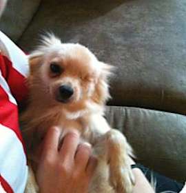 Photo of One Eyed Willie