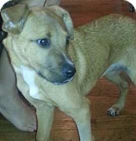 Photo of Tuson & Pheonix