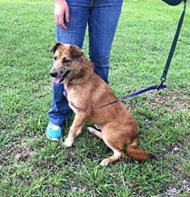 Photo of Zoey - 26799