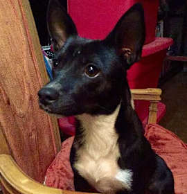 Photo of Brennen 'aka Bones'