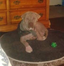 Photo of COURTESY POST - RUDY