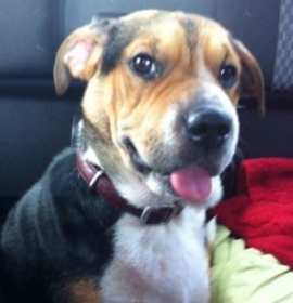 Photo of Pretty "Sue"