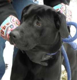 Photo of MAR 14 - EDGE - 1yr