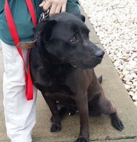 Photo of URGENT-CK-URGENT