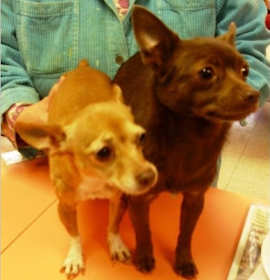 Photo of Fiona (on the LEFT)