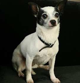 Photo of Little John