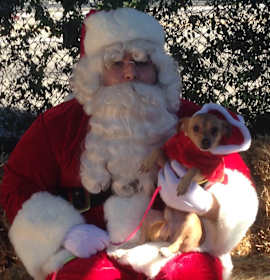 Photo of NACHO LIBRE aka TACO