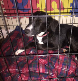 Photo of LCpl Chaurette