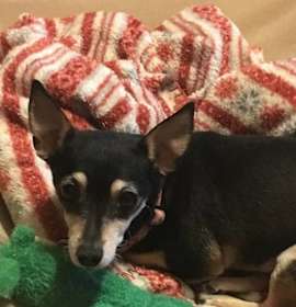 Photo of Elsie Lou 778