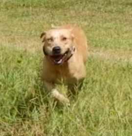 Photo of Cyan-Arriving in September