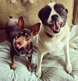 Photo of Ravishing Roxie