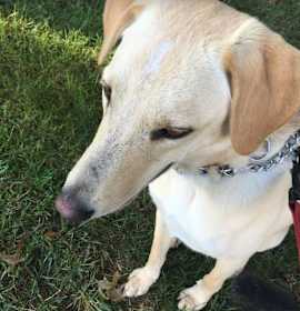 Photo of Terrific Ted