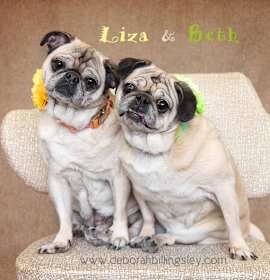 Photo of Liza & Beth