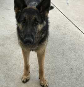 Photo of Victorville