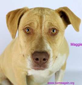 Photo of Maggie