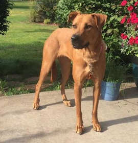 Photo of Angela $350