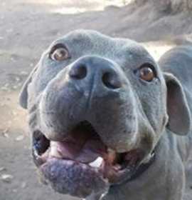 Photo of Morty Mort Mort (Mortimer)