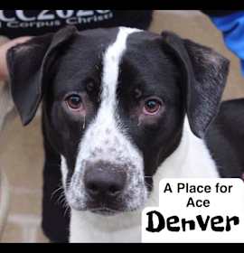Photo of Denver