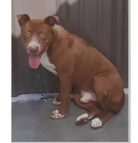 Photo of REGAN C-19-151