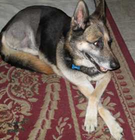 Photo of Todd Curtis