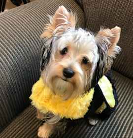 Photo of Jethro Gibbs