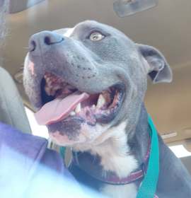 Photo of BRUCE WAYNE T DALTON