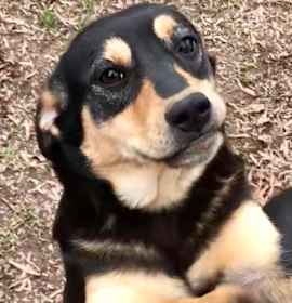 Photo of Nadia (Olympic crew)