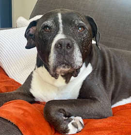 Photo of Ramon The Romantic