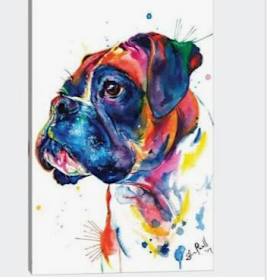 Photo of Pre approval for boxer