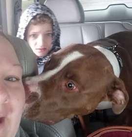 Photo of Bristol - RICHMOND, IN