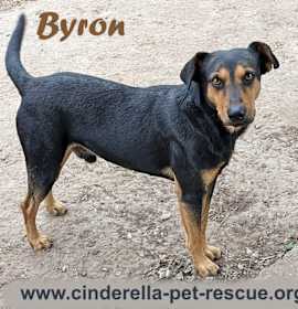 Photo of Byron