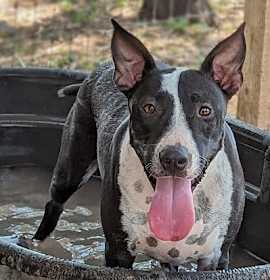 Photo of Maggie Magazine