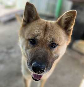Photo of Duke