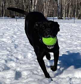 Becky - in New England photo 1