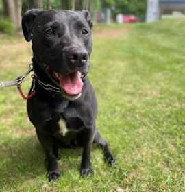 Becky - in New England photo 2