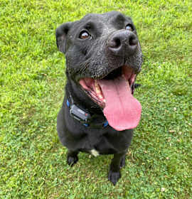 Becky - in New England photo 3