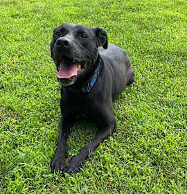 Becky - in New England photo 4