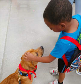 Photo of Danny Devito