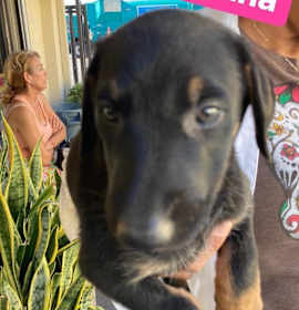 Photo of Samantha