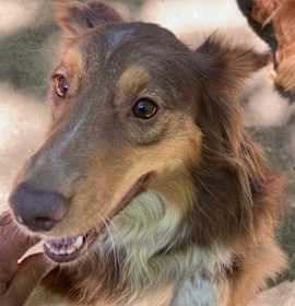 Photo of Murphy