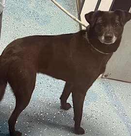 Photo of Storm A1415