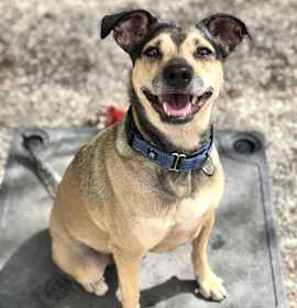 Photo of Holly
