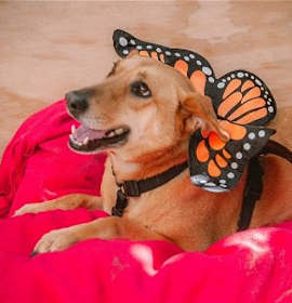 Photo of Wendolyn