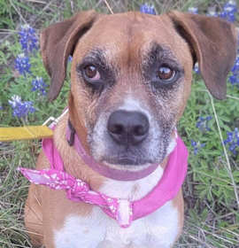 Photo of Amazing Grace