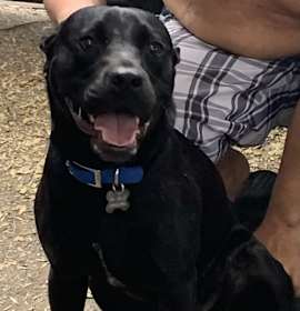 Photo of Adorable Miranda