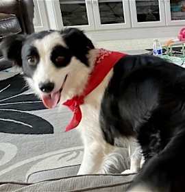 Photo of Hanna Bonded Pair