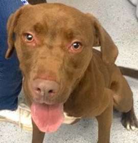 Photo of Lawrence The Happy Go Lucky Fella